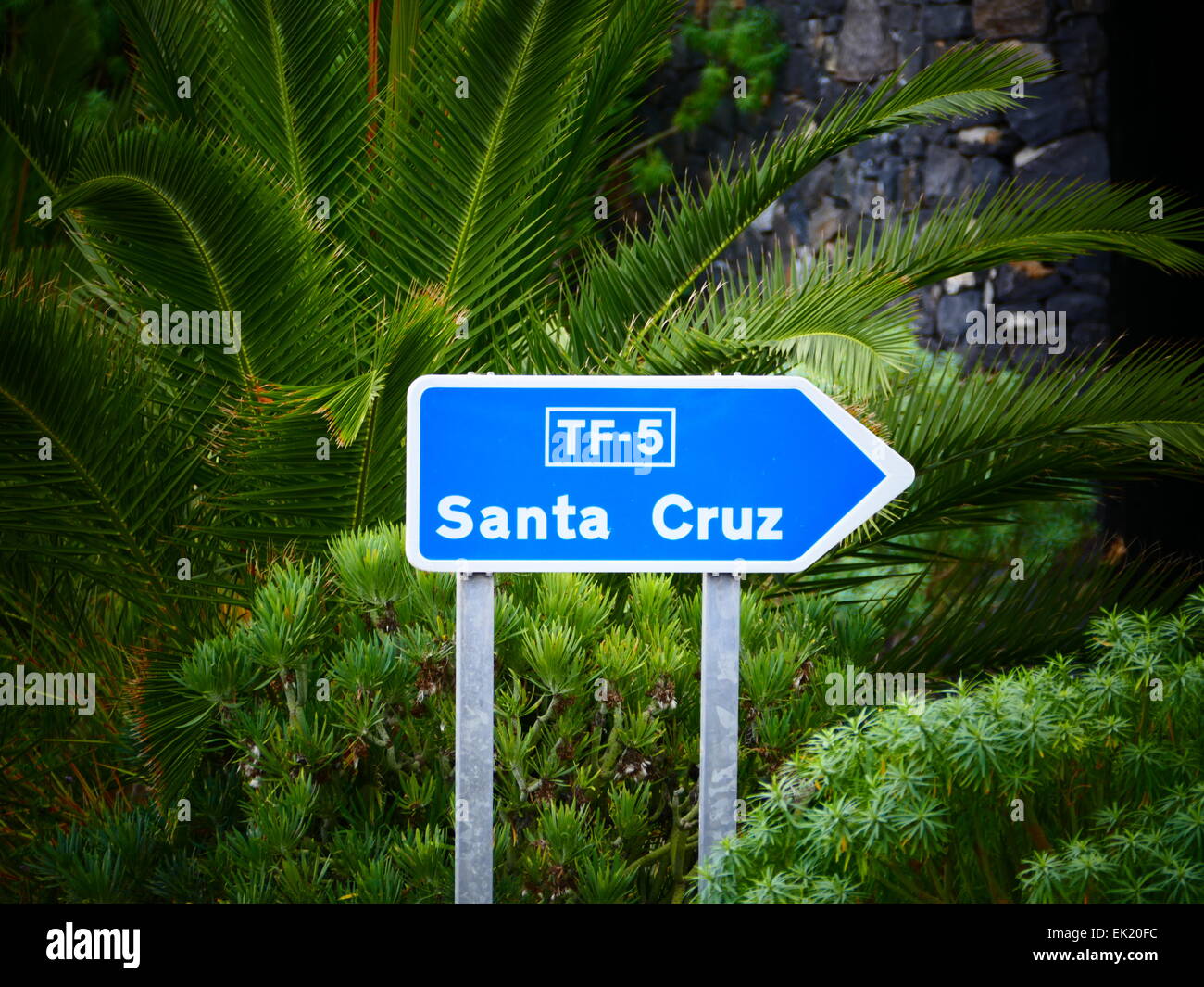 Santa Cruz de la Tenerife Tenerife island Canary islands Spain Stock Photo