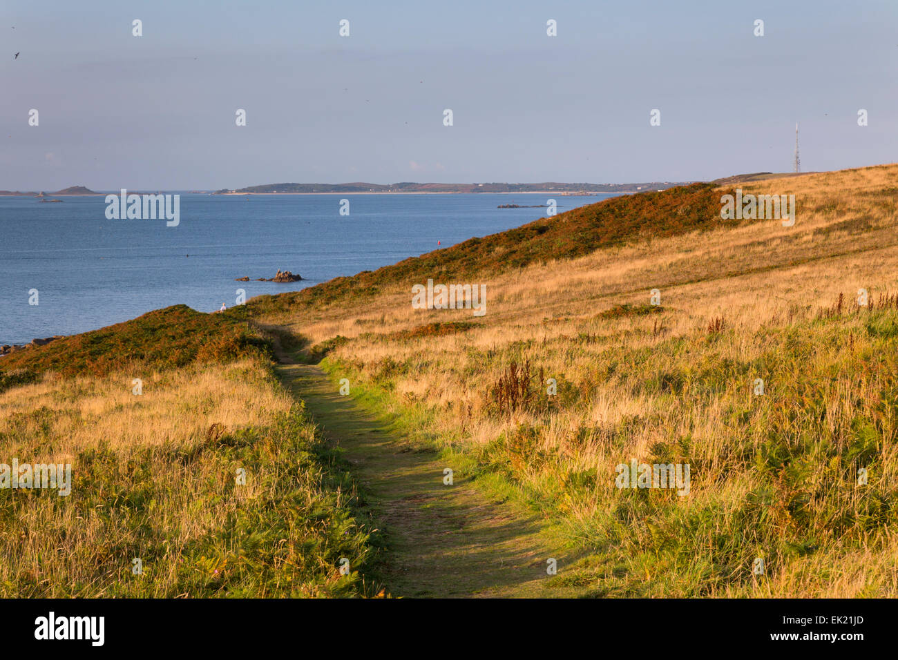 The Garrison Grazing Land; St Mary's Looking Towards Bryher; Isles of Scilly; UK Stock Photo