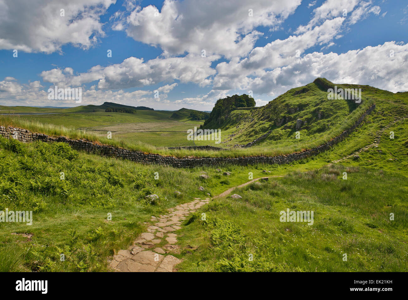 Hadrians Wall; Housesteads; Northumberland; UK Stock Photo