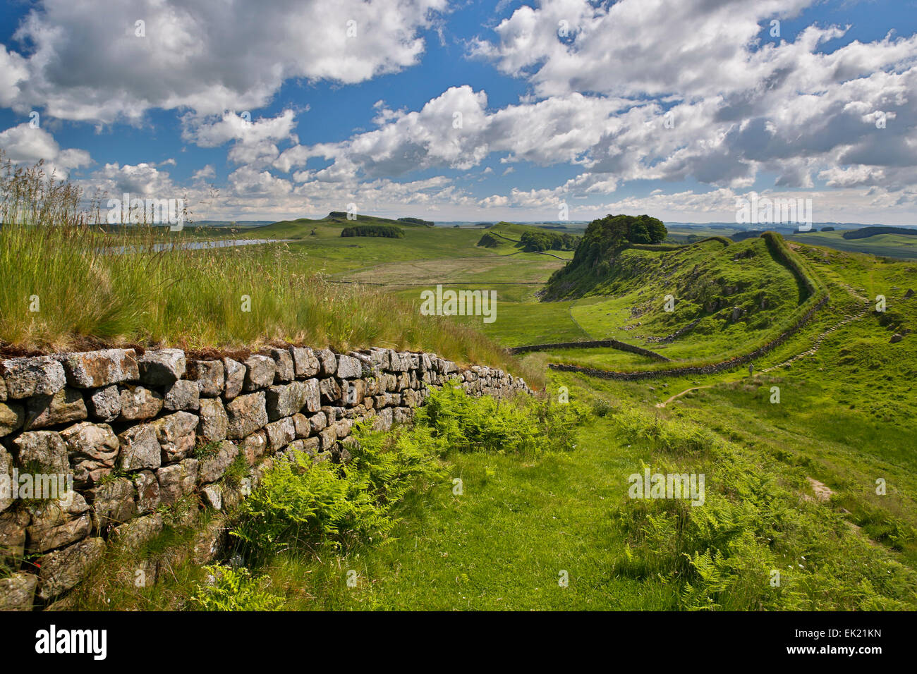 Hadrian's Wall; Housesteads; Northumberland; UK Stock Photo
