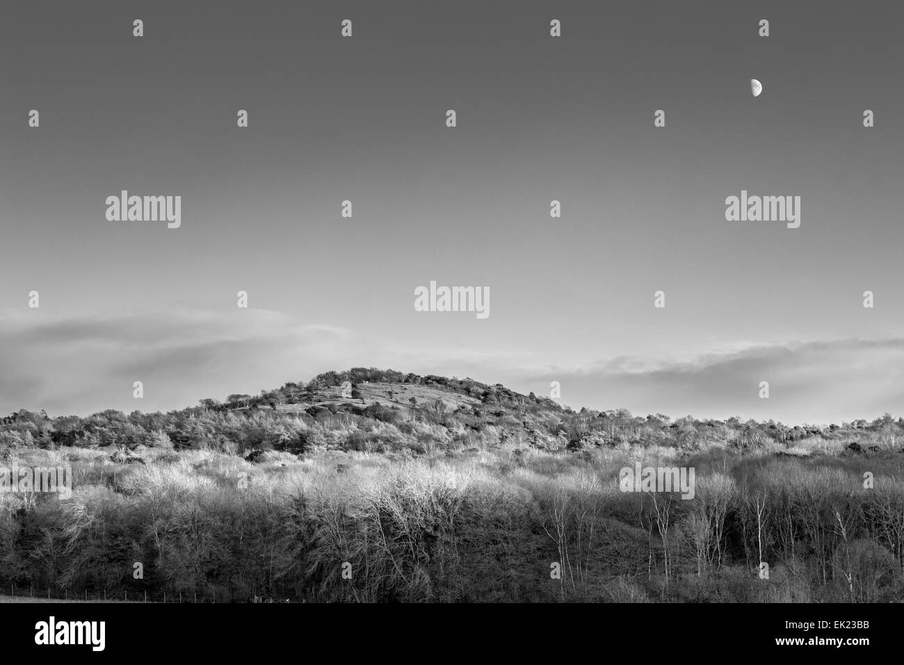 Moon rising over Arnside Knott. Cumbria. Stock Photo