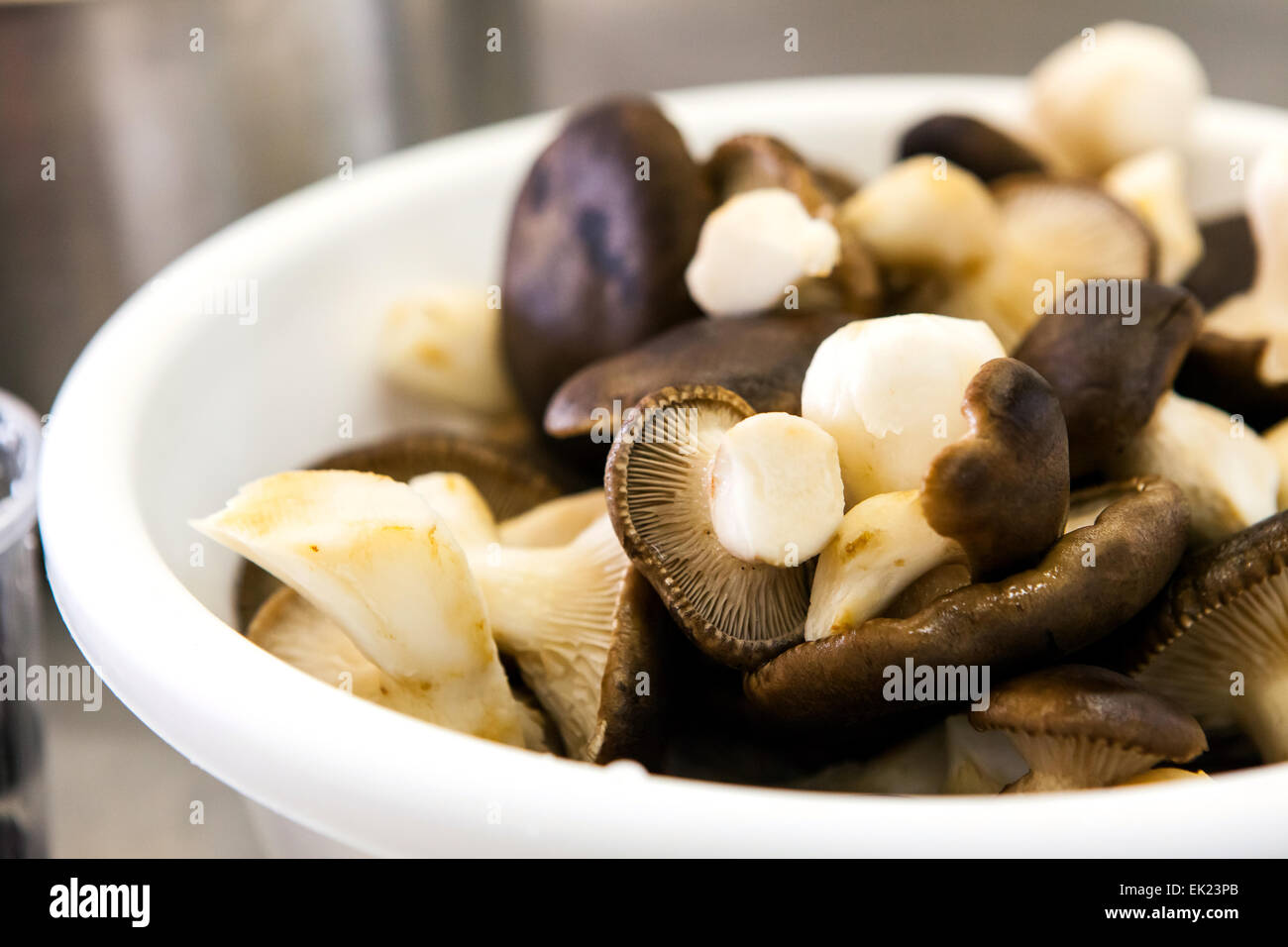 Mushrooms in a bowl ready for cooking Stock Photo