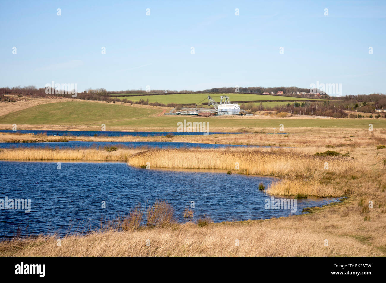 Wetland at the St Aidans opencast coal site Allerton Bywater near Leeds, West Yorkshire. Stock Photo