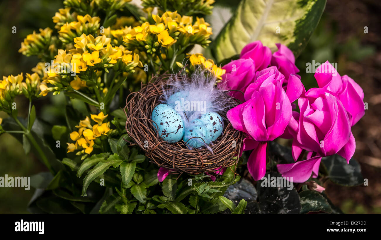 Shallow focus on Easter eggs in a feathered nest surrounded by a flower ...