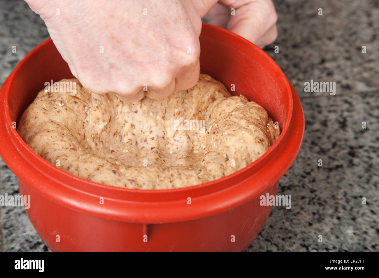 Woman punching down multigrain bread dough after it has risen the