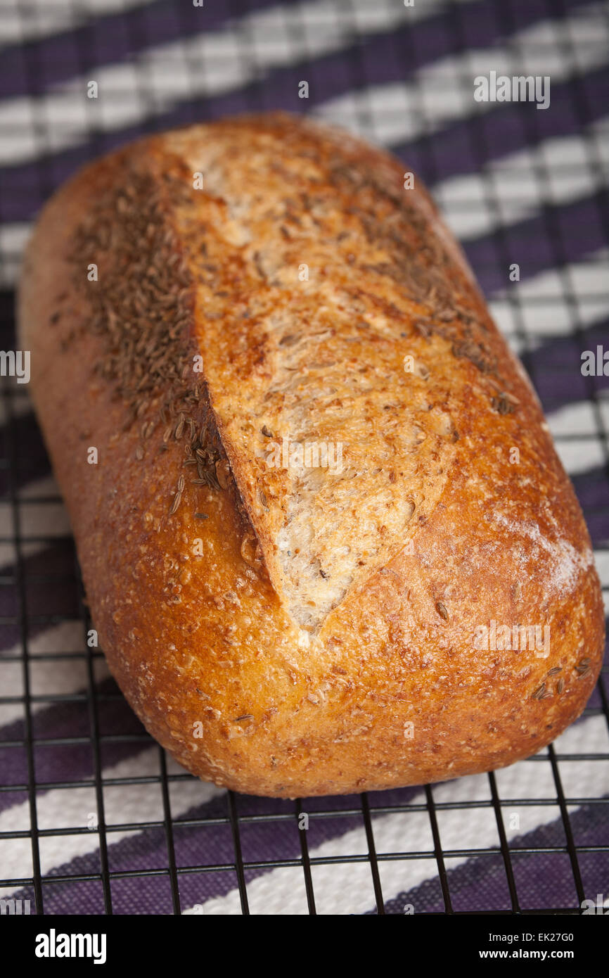 Homemade stone milled rye bread loaf on a cooling rack on a tea towel Stock Photo
