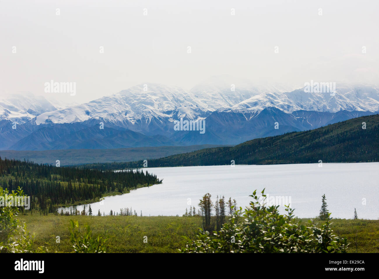 Mount McKinley with Wonder Lake, Denali National Park, Alaska, USA Stock Photo