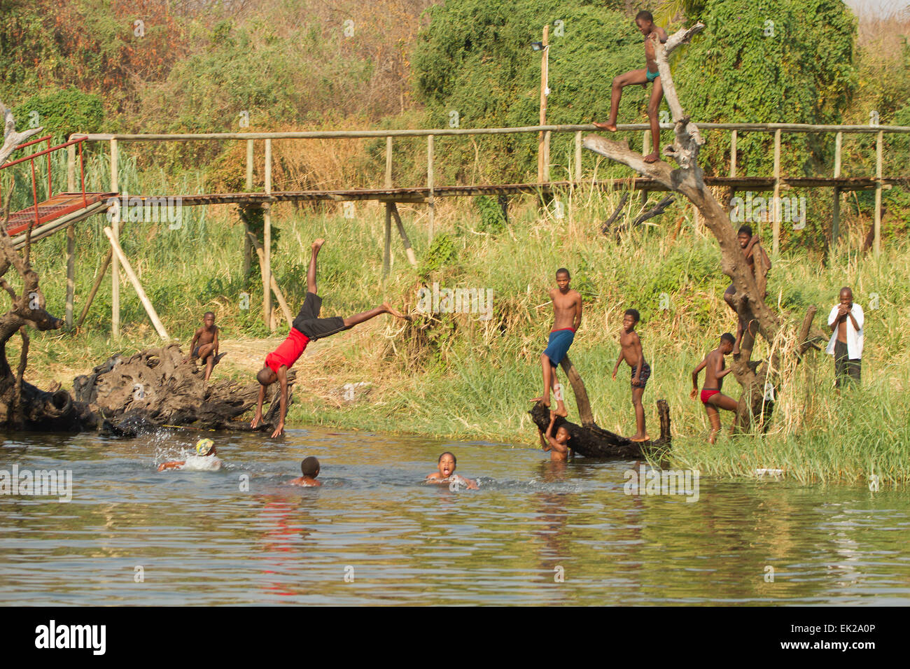 African boys swimming and diving into the Chobe River in Chobe National