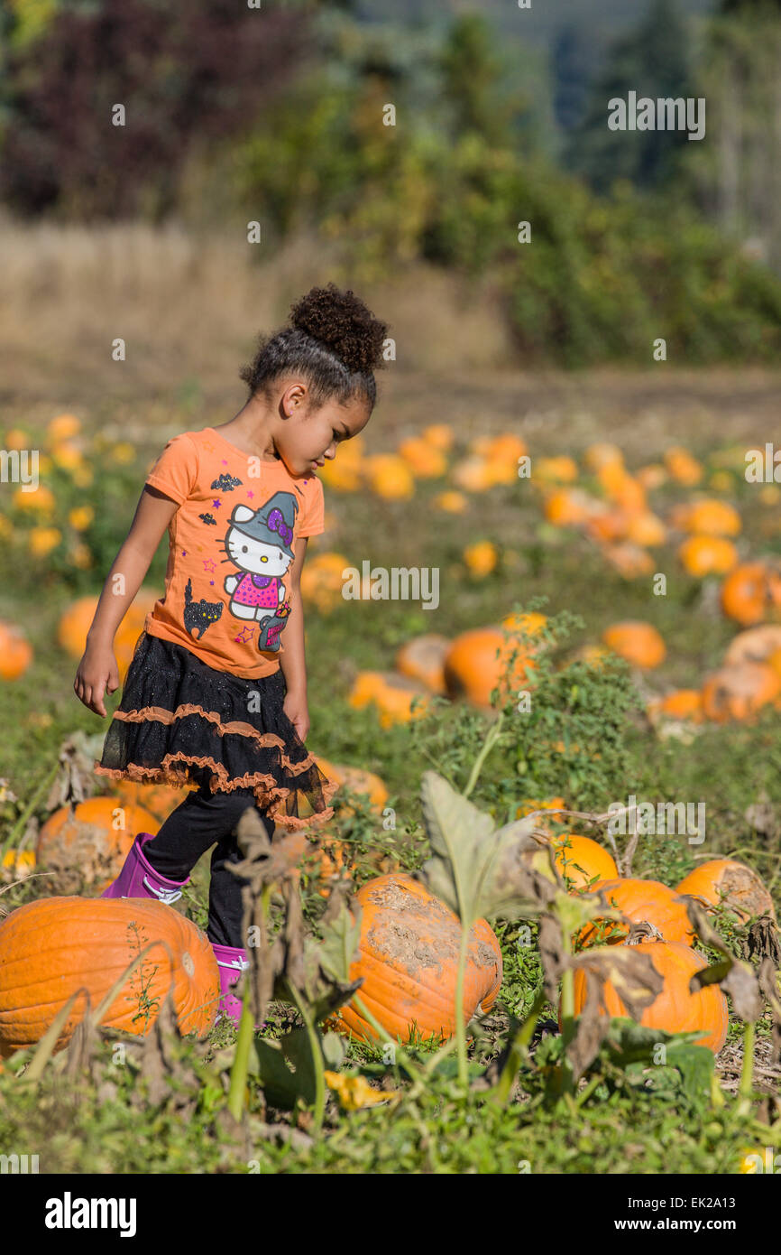 Young girl enjoying a stroll through a pumpkin patch, stopping to ponder a particularly nice pumpkin, in Hood River, Oregon, USA Stock Photo