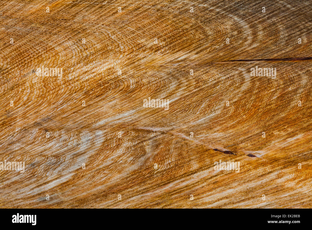 Chainsaw cut marks hi-res stock photography and images - Alamy