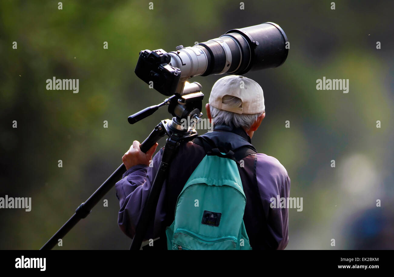 wildlife photographer with their camera equipment Stock Photo Alamy