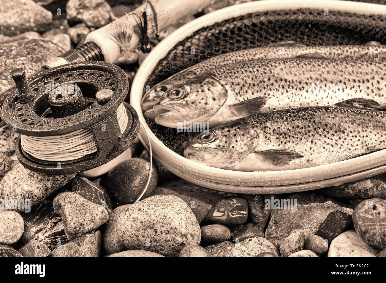 Trout fishing net hi-res stock photography and images - Alamy