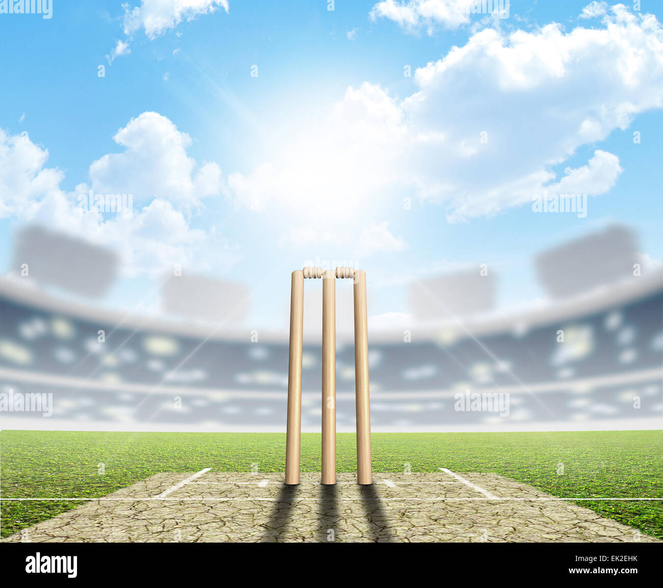 Cricket Pitch Background