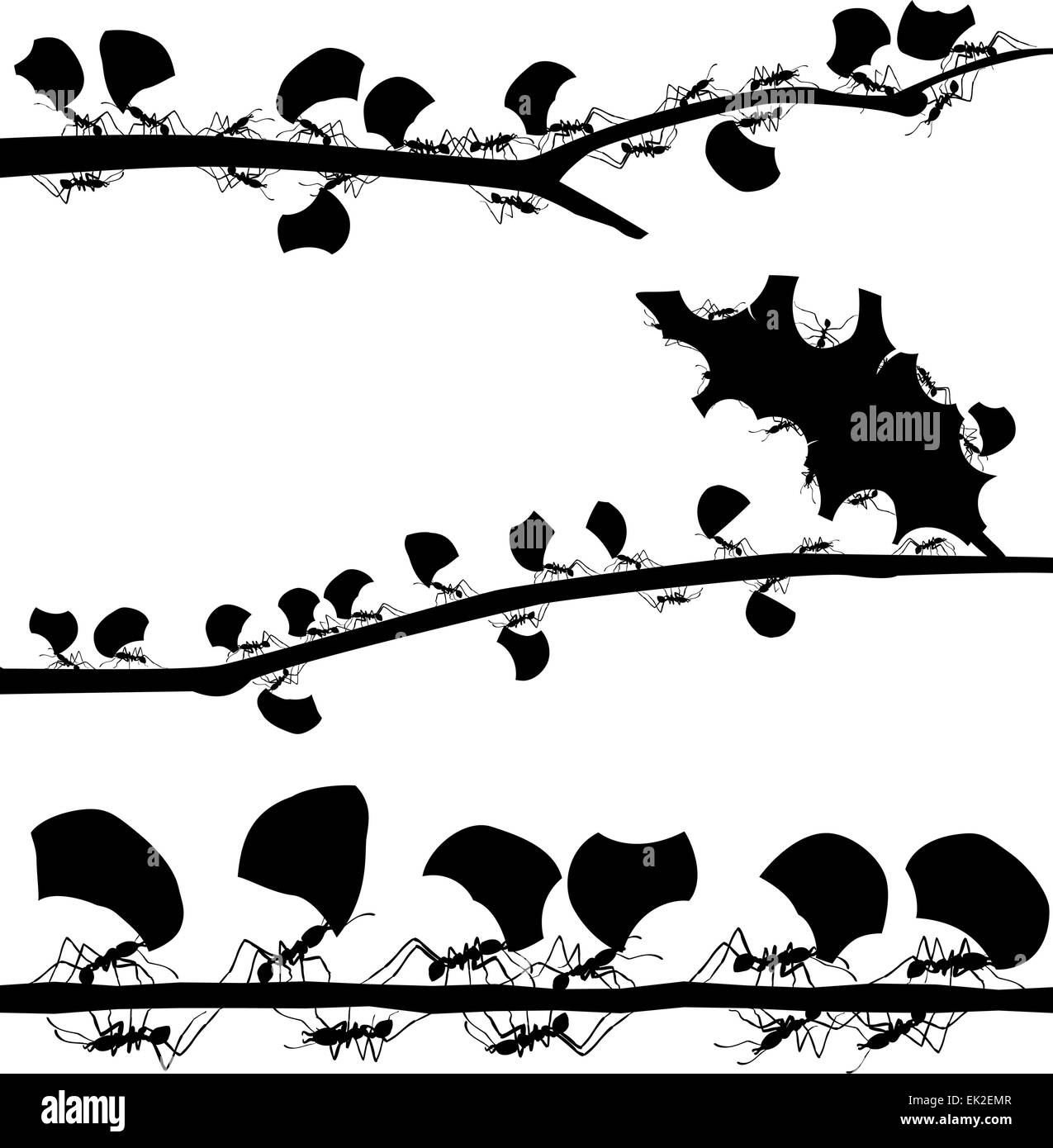 Set of EPS8 editable vector silhouettes of leaf cutter ants with all leaf fragments and ants as separate objects Stock Vector