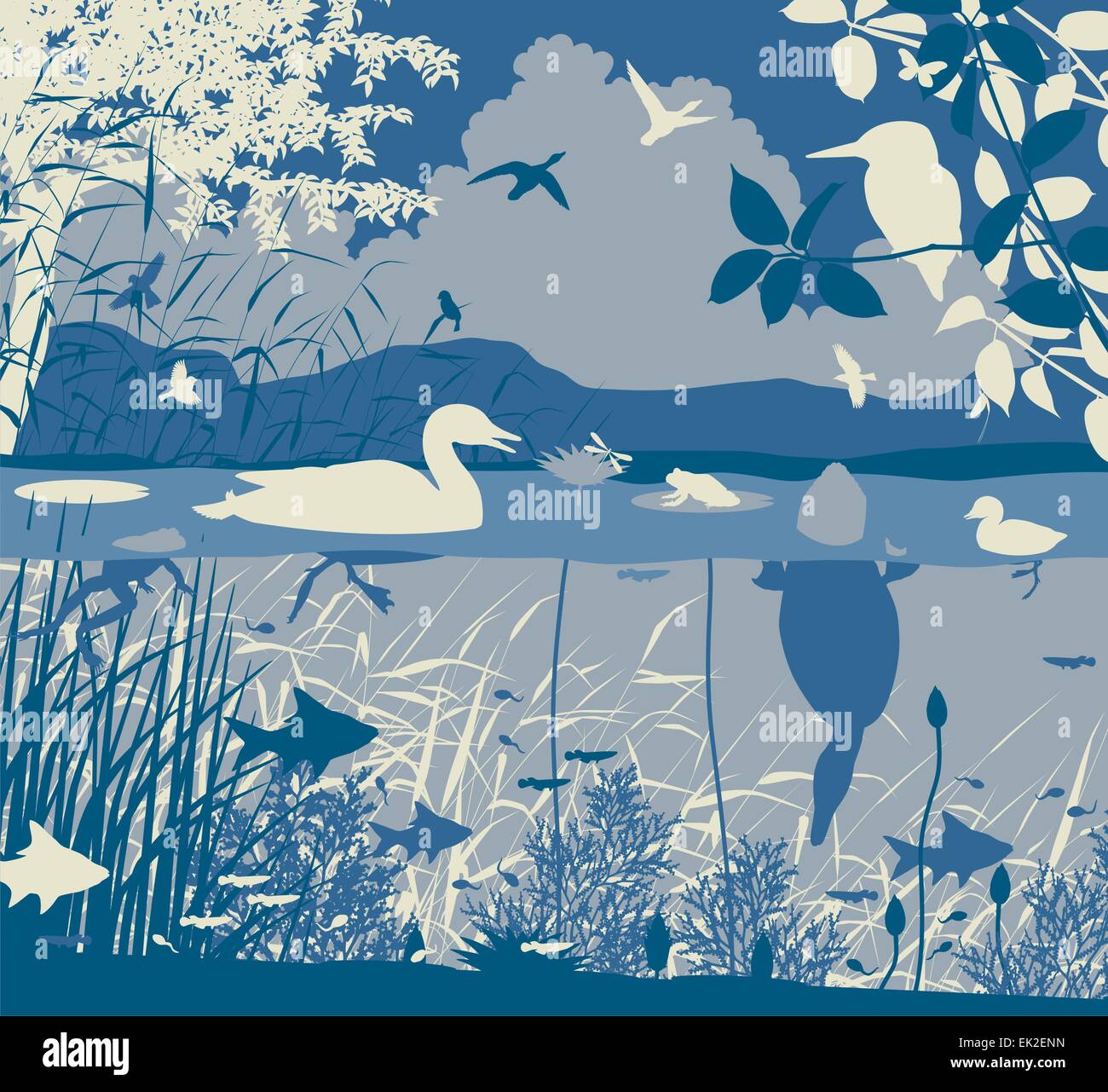 EPS8 editable vector illustration of diverse wildlife in a freshwater ecosystem with all figures as separate objects Stock Vector