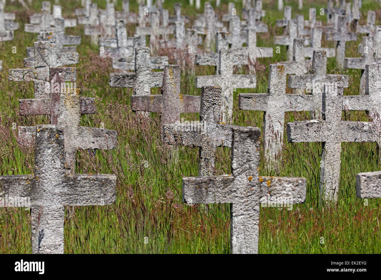 Symbolically cemetery of member of German parliament, Lower Saxony, Germany, Europe Stock Photo