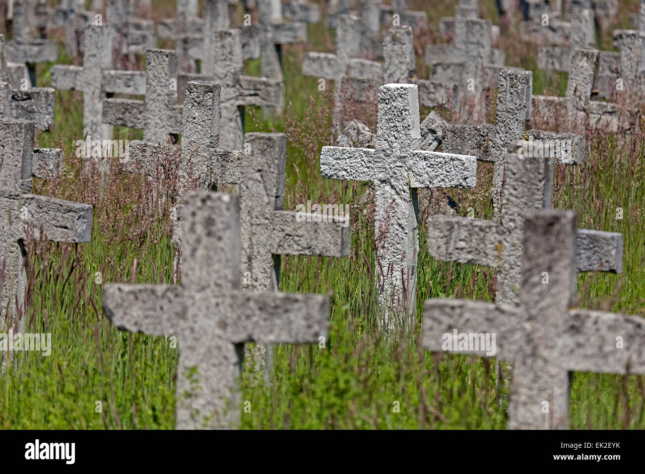 Symbolically cemetery of member of German parliament, Lower Saxony, Germany, Europe Stock Photo