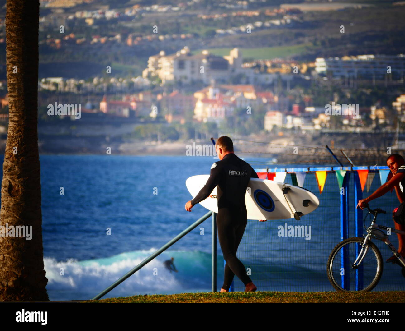Board-Surfer at Las Americas Beach palm tree Tenerife island Canary islands Spain Stock Photo