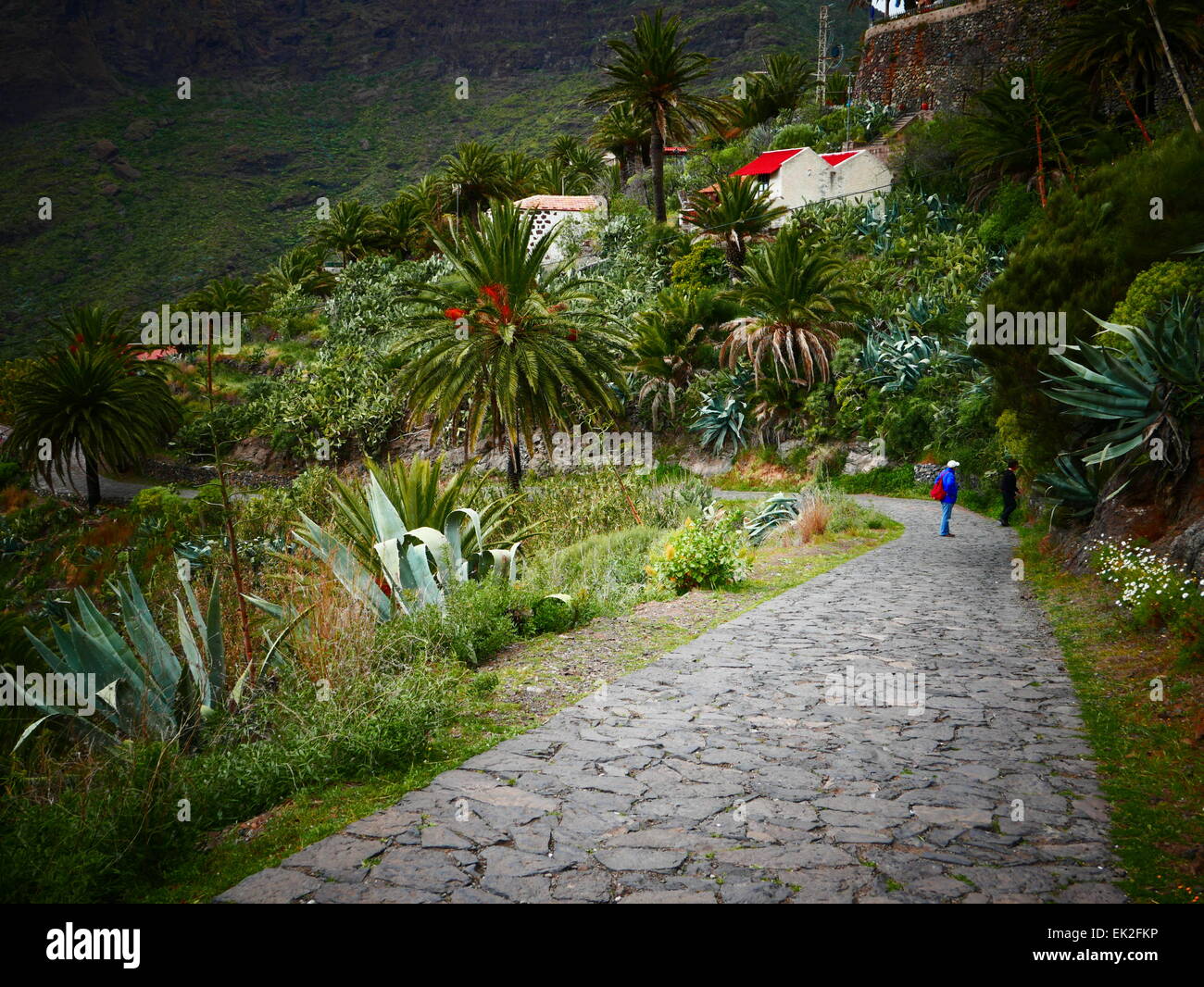 Masca village in North Tenerife island Canary islands Spain Stock Photo