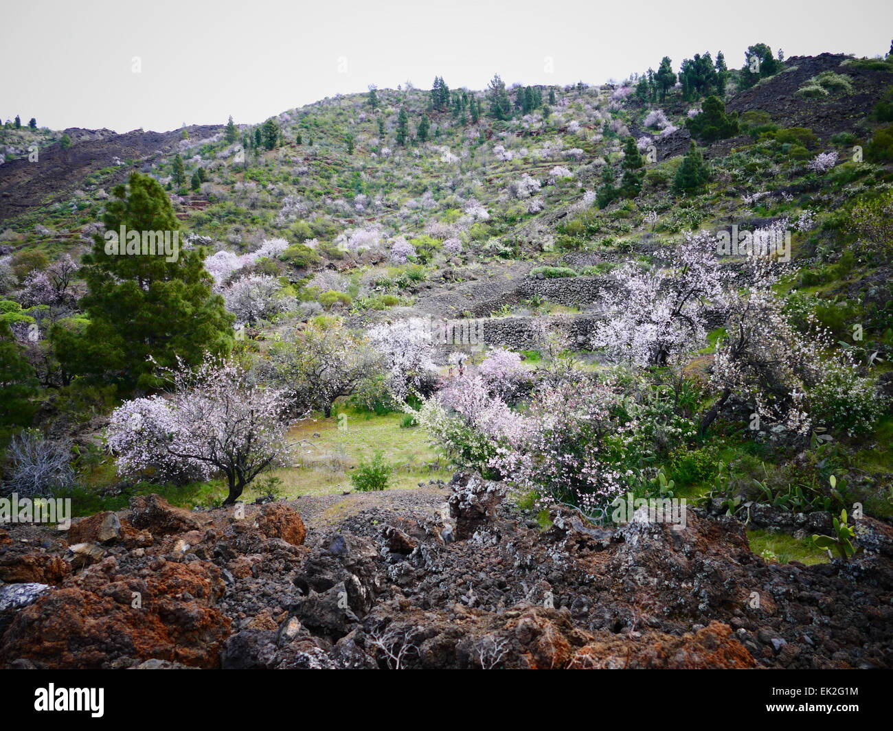 Cherry island volcano hi-res stock photography and images - Alamy