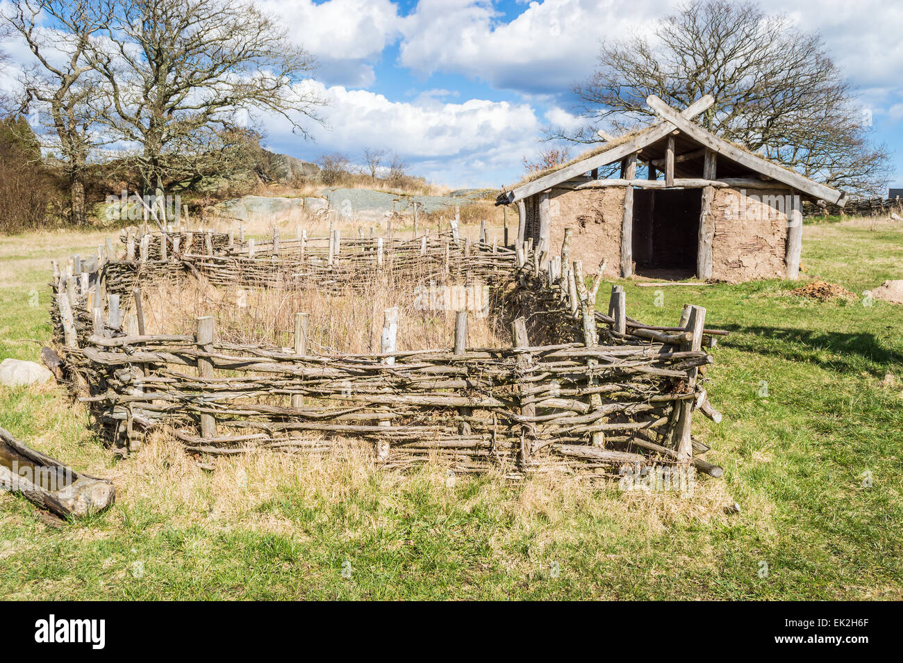 Part of viking age village replica in southern Sweden in early spring. Small farm fields are fenced in with juniper branches for Stock Photo