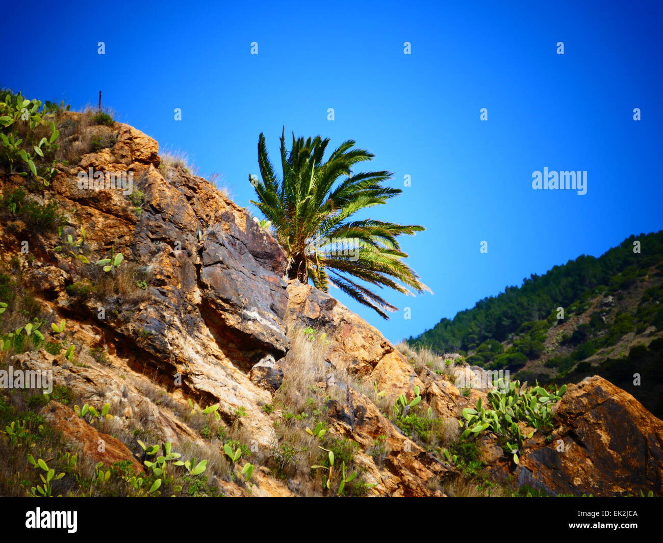 Landscape Vallehermoso n mountains La Gomera island Canary islands Spain Stock Photo