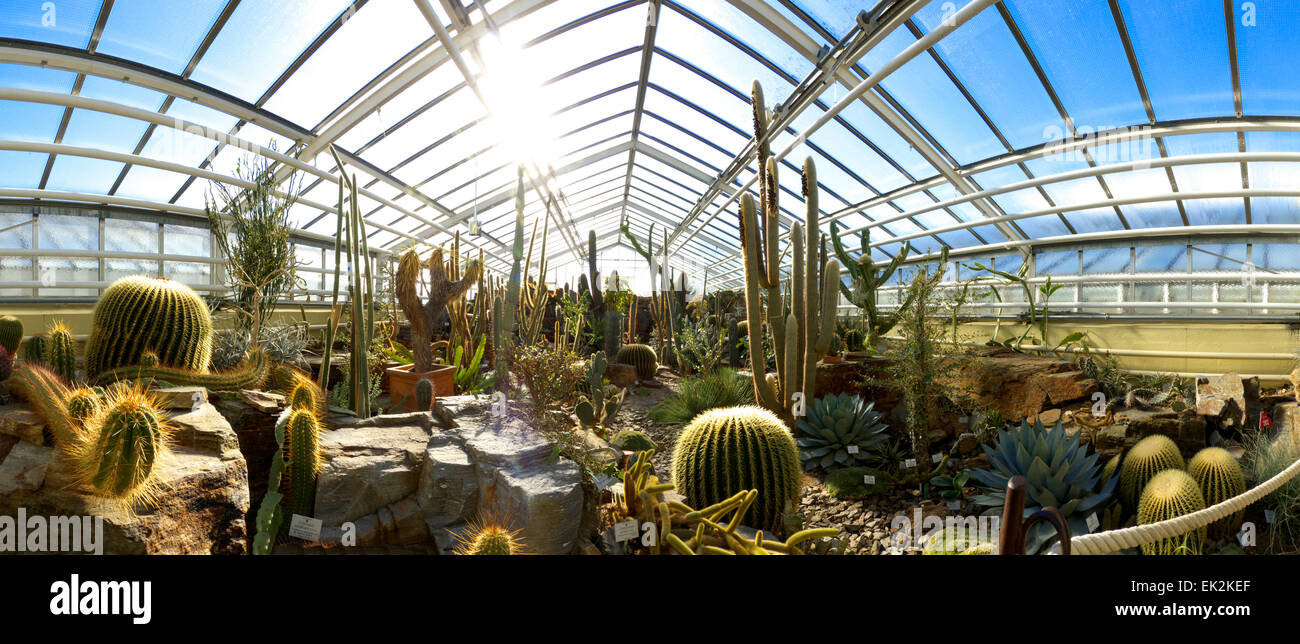 Germany Munich Botanic Garden Cactus greenhouse glasshouse Stock Photo