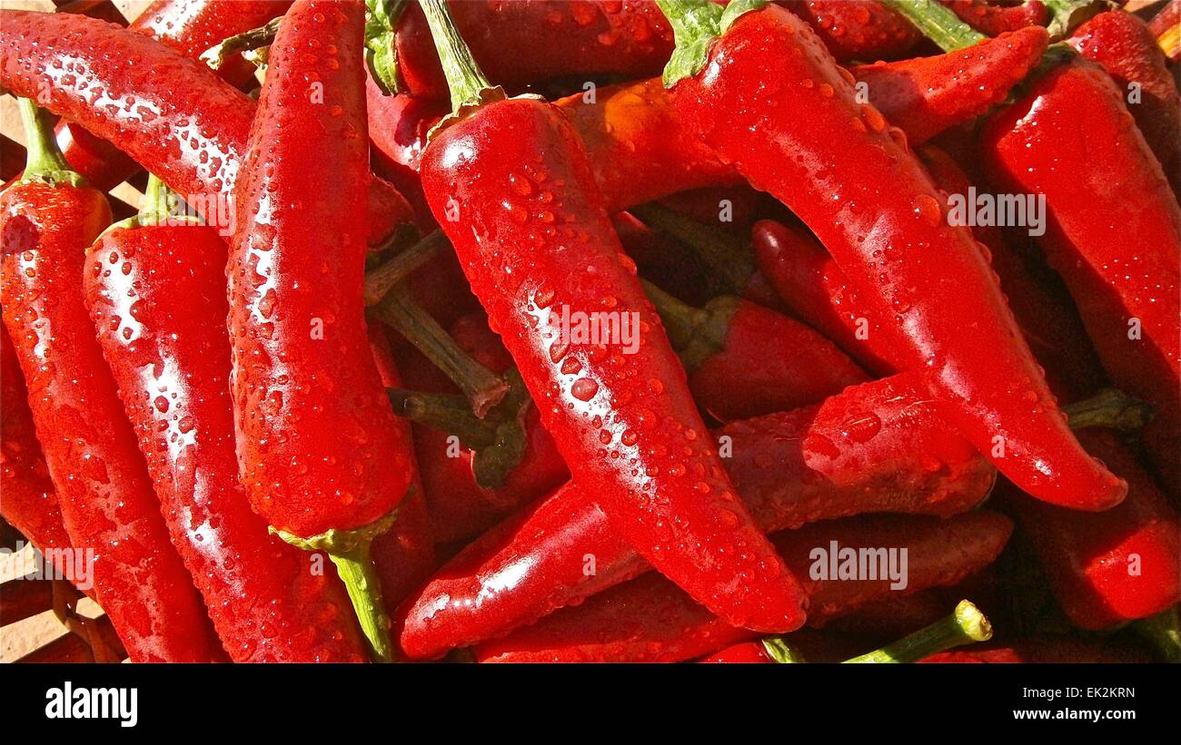 Chillies Chilli Pepper Peppers High Resolution Stock Photography and