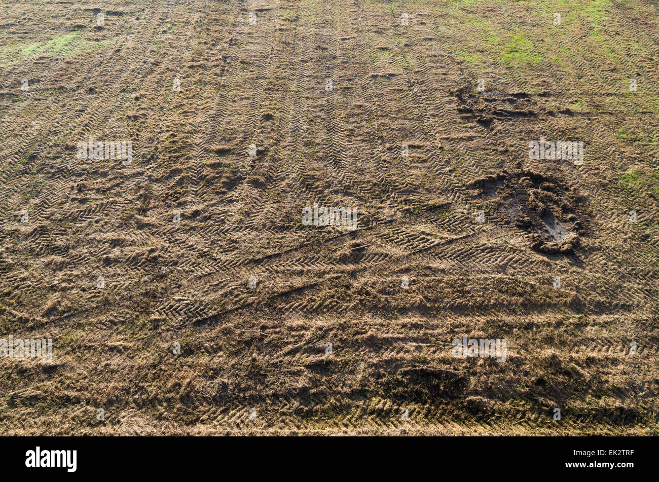 field with tractor traces seen from above Stock Photo