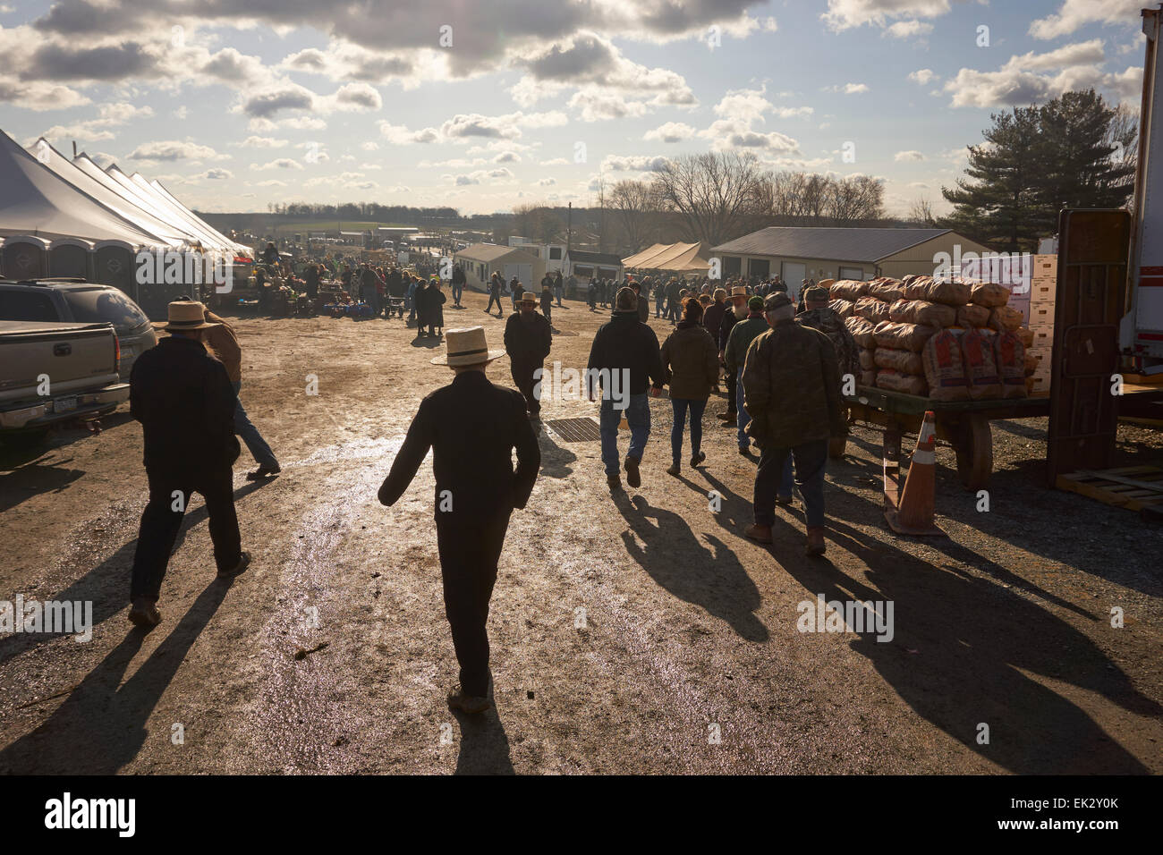 Pennsylvania amish auction hires stock photography and images Alamy