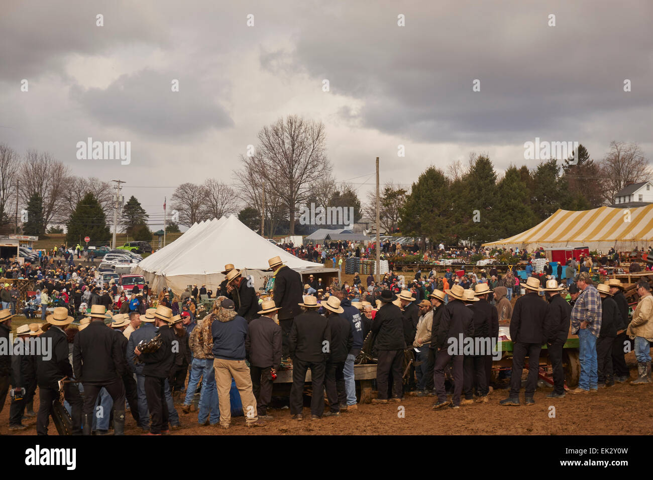 Pennsylvania amish auction hires stock photography and images Alamy
