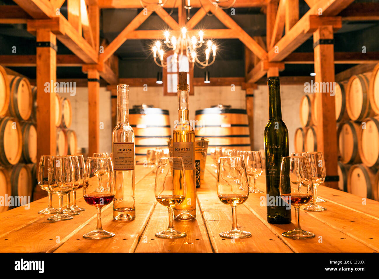 Canada,Ontario,Niagara-on-the-Lake, Trius Winery, wine tasting room, ice wine tasting Stock Photo