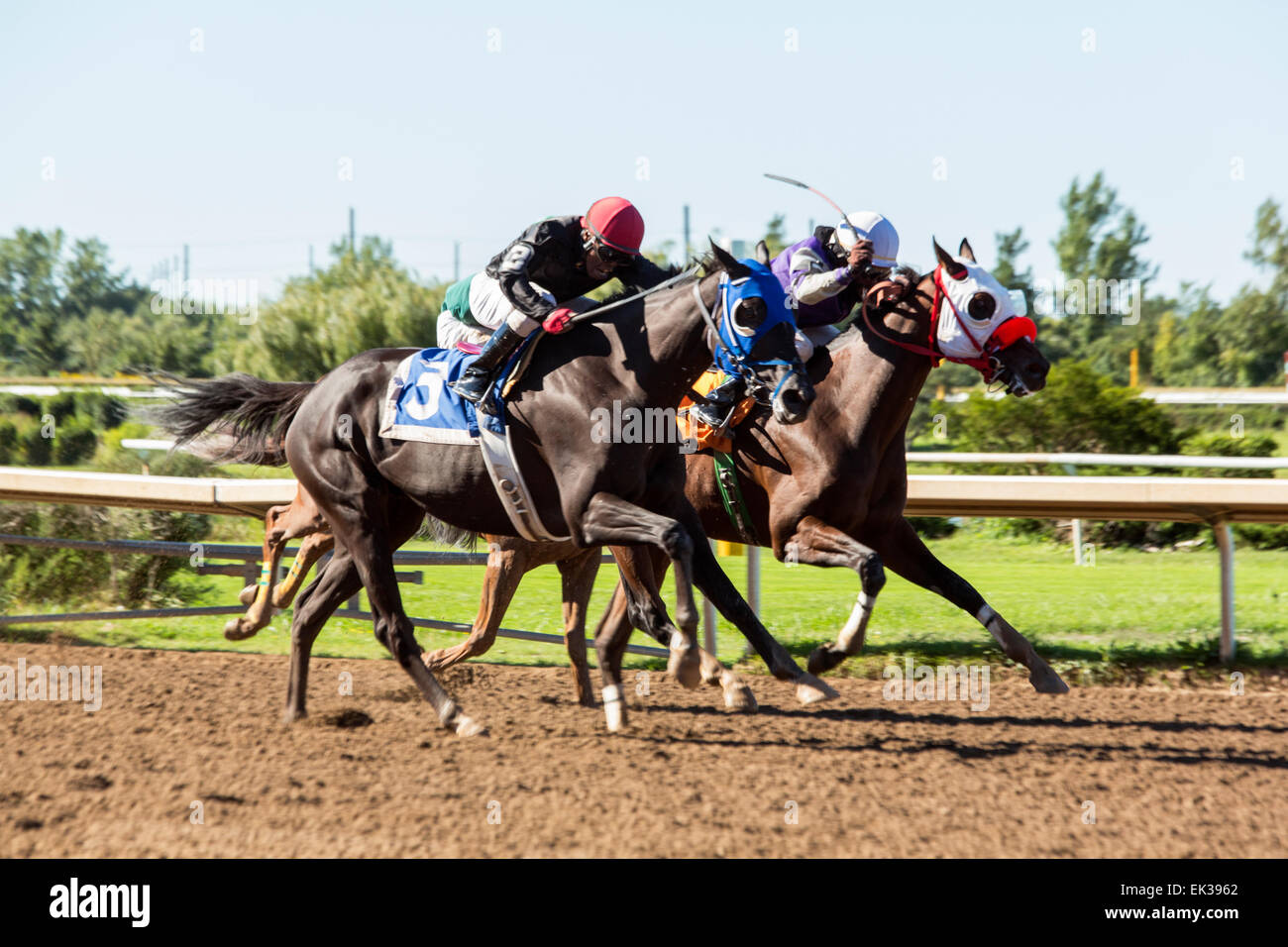 Canada,Ontario,Fort Erie, Fort Erie Race track, horse race Stock Photo