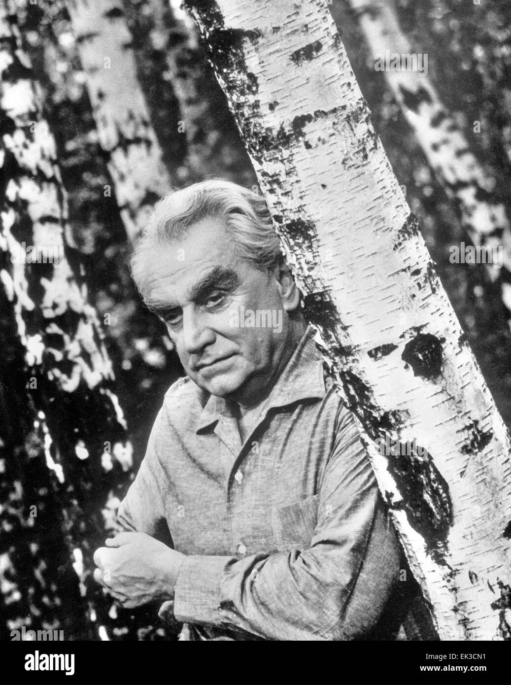 Aleksandrov High Resolution Stock Photography and Images - Alamy