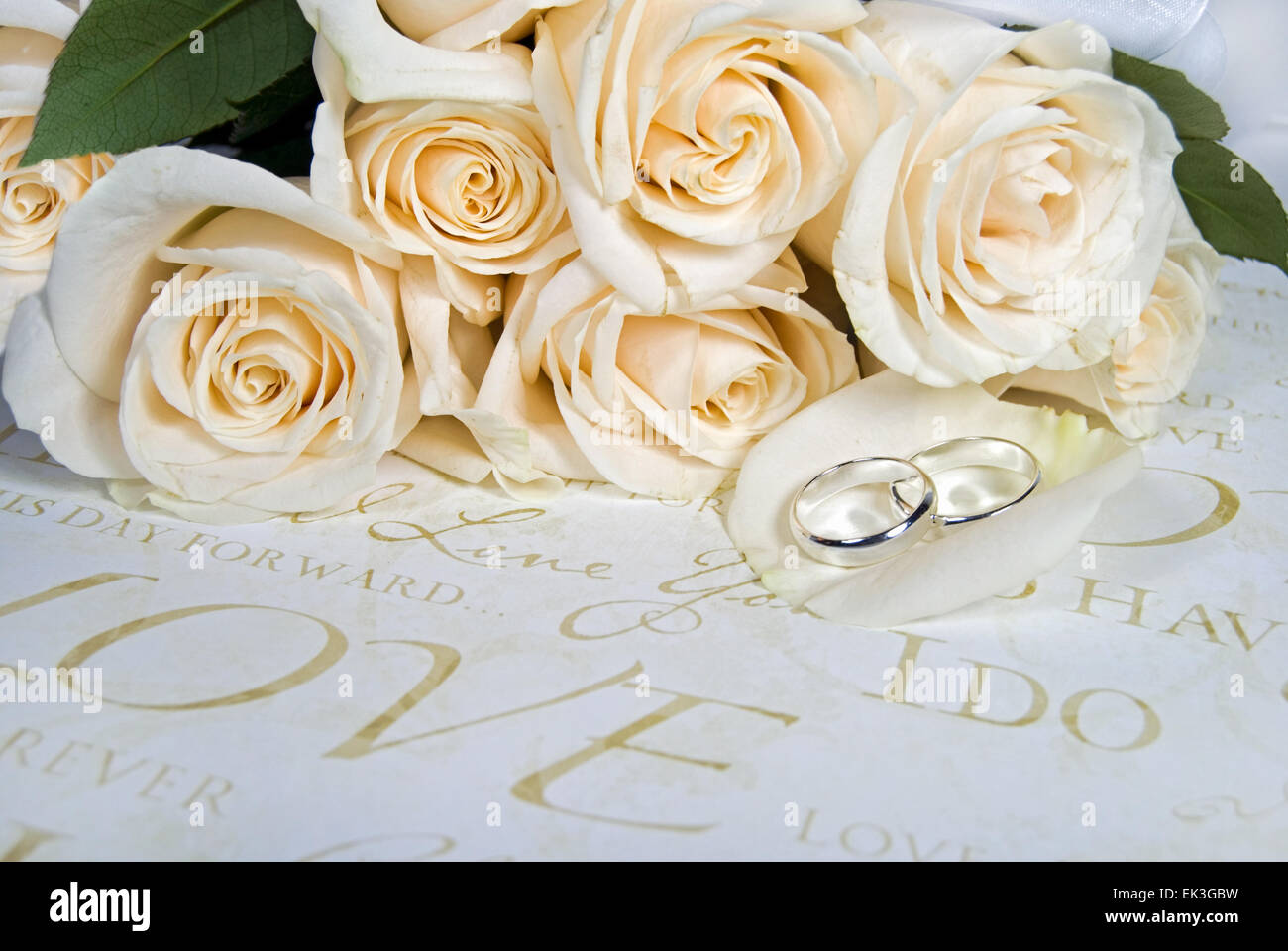 Wedding rings on rose petal with white bridal rose bouquet. Stock Photo