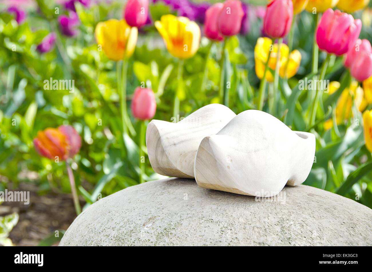 Wooden shoes on a rock in a Dutch tulip garden. Stock Photo