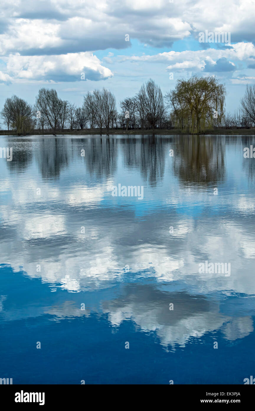 Forest lake under blue cloudy sky Stock Photo - Alamy