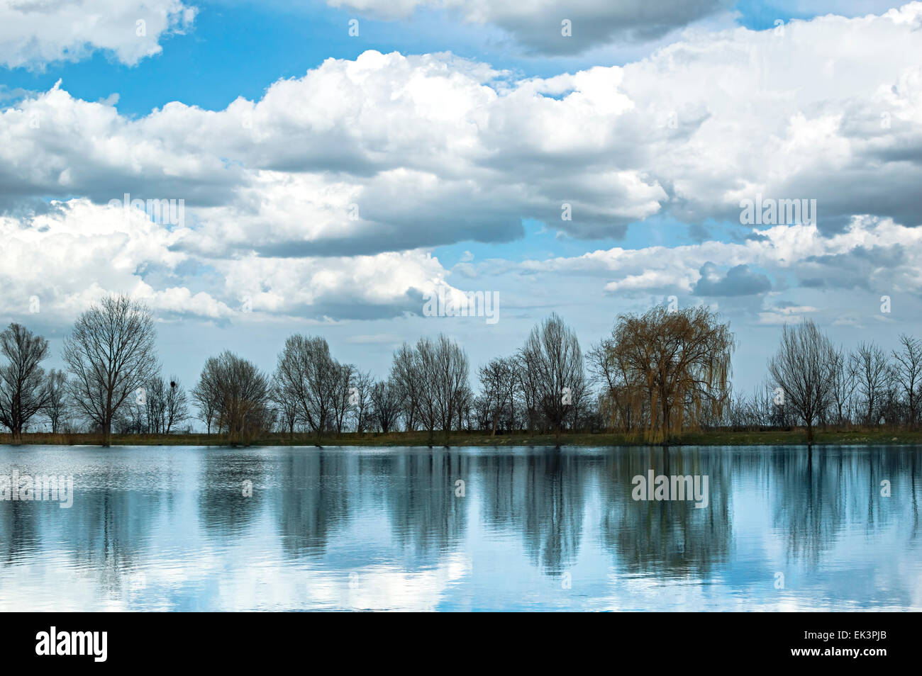 Forest lake under blue cloudy sky Stock Photo - Alamy