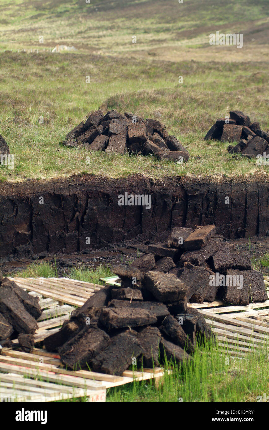 Peat Cutting in scotland, UK Europe Stock Photo