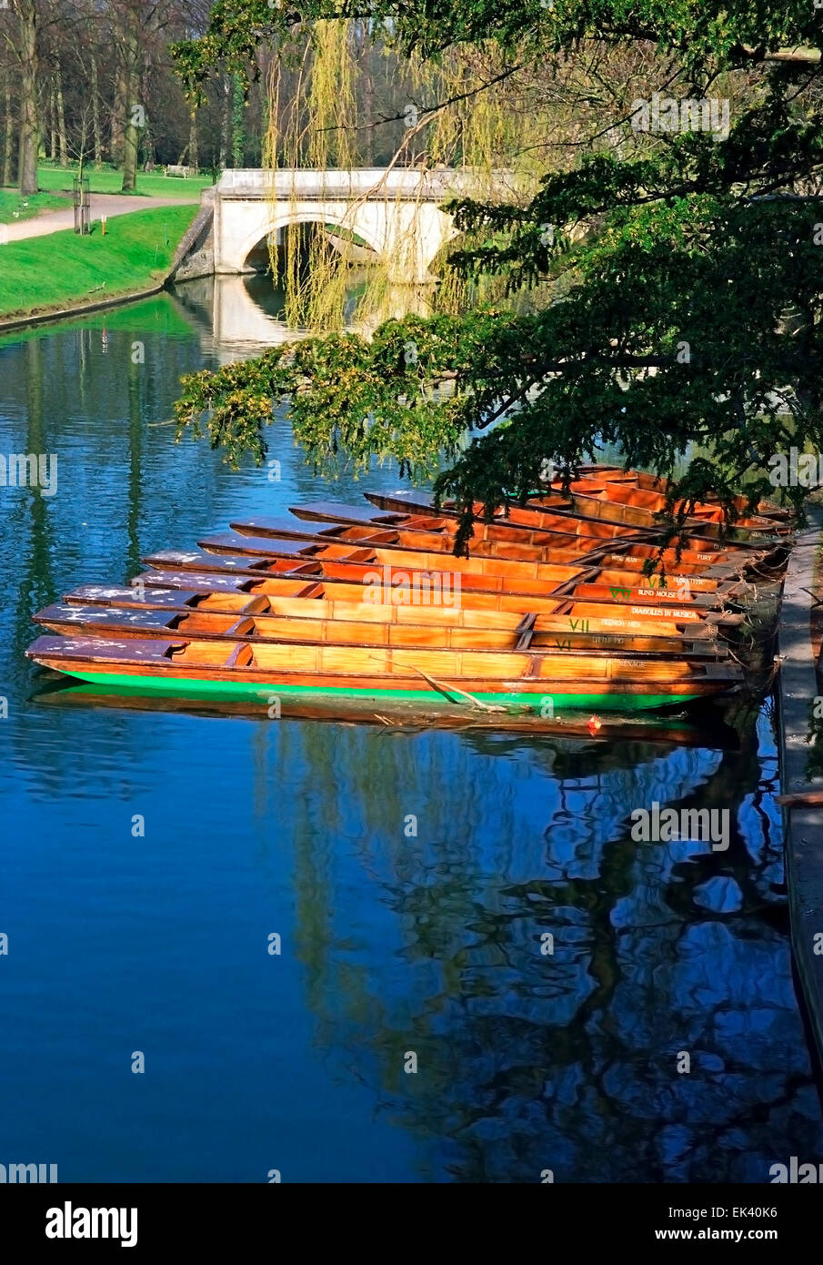 Punting boats on river cam in cambridge england europe Stock Photo