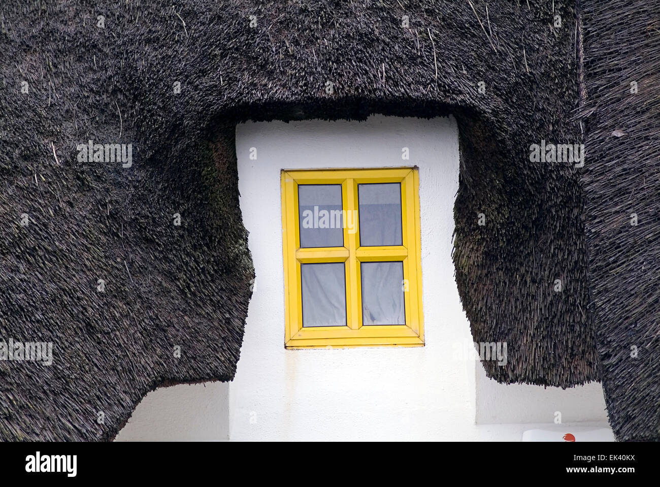 Yellow window house thatched roof  in dunmore waterford Stock Photo