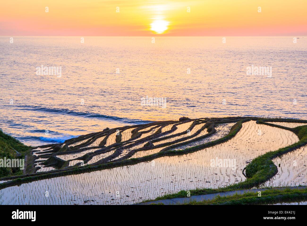 Wajima Rice Terraces Wajima Rice Stock Photos & Wajima Rice Stock Images - Alamy
