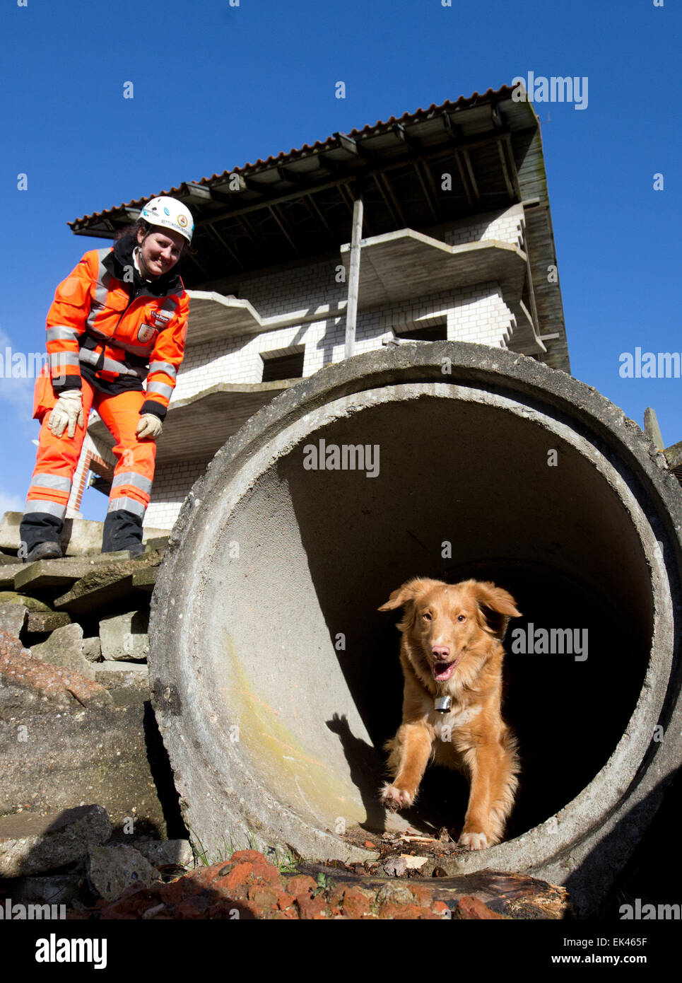 Rendsburg, Germany. 30th Mar, 2015. Rescue dog handler Kirstin Petersen-Pieper is practicing with rescue dog Chiuvana on the compound of the youth fire brigade centre in Rendsburg, Germany, 30 March 2015. The members of the rescue dog squad Holstein, a regional chapter of the Bundesverband Rettungshunde (BRH, Federal Association of Rescue Dogs), hold routine drills in the ruins to track down buried or missing people. Photo: Christian Charisius/dpa/Alamy Live News Stock Photo