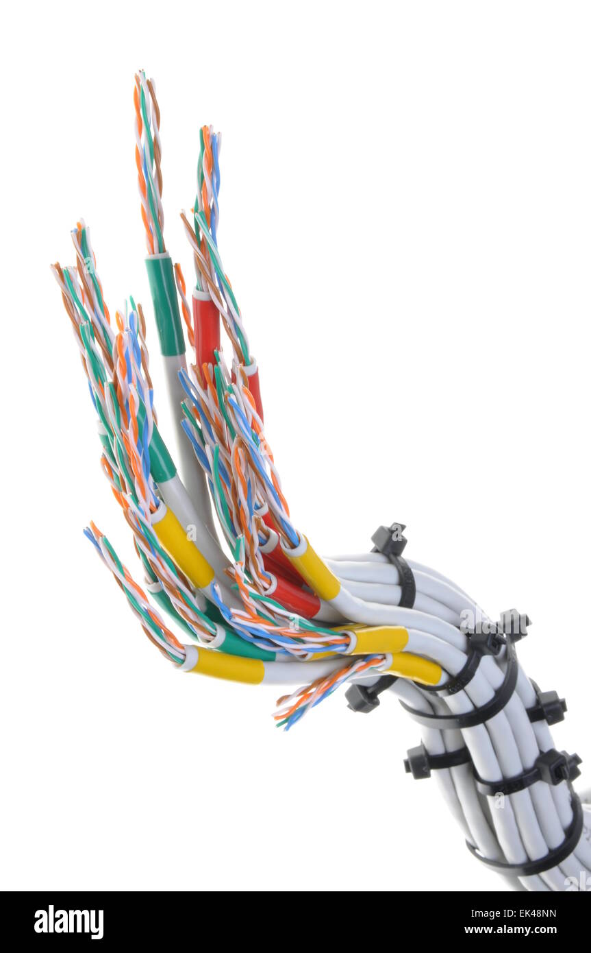 Computer network cables with cable ties on white background Stock Photo ...