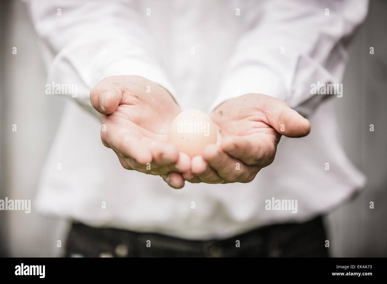 Farmer Showing an Egg in front of the Farm Stock Photo