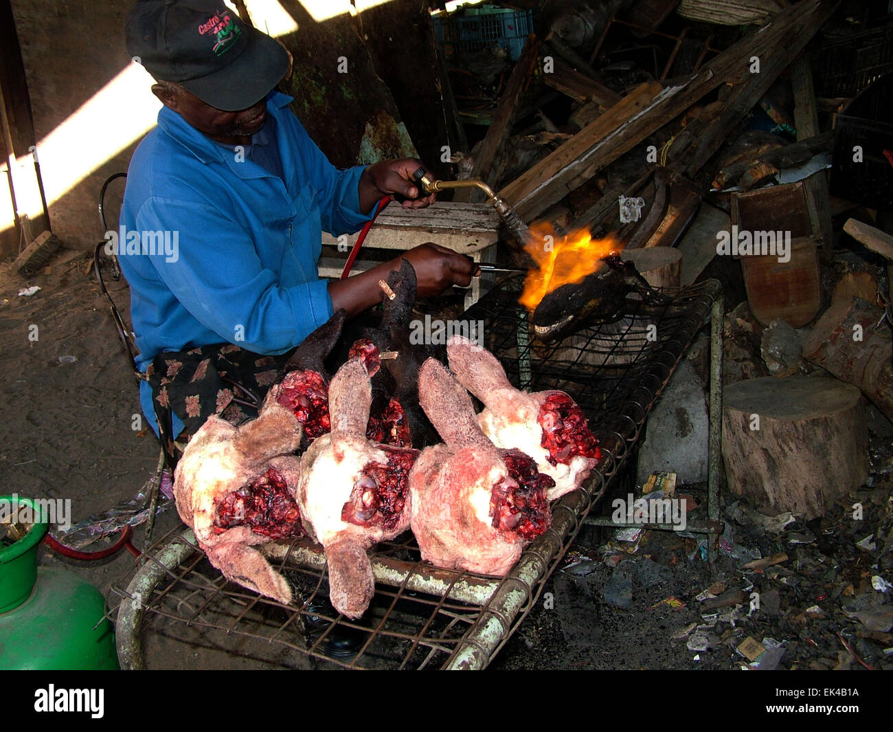 A man uses a blow torch as part of the cooking process of a sheep's head, New Crossroads, cape town. 09.03.2006 . Sheep's heads are called 'smilies' or 'skop'or inhloko isigqokweni (head-on-a-plate) in Zulu. They are a traditional African food often charred on an open fire. But it is not only eaten in South Africa, in Norway sheep's heads, known as Smalahove is often eaten just before Christmas. Stock Photo