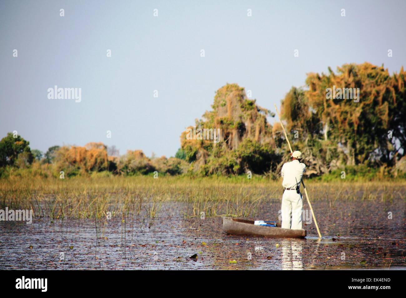 African man on wooden boat (mokoro) in Okavango Delta Stock Photo