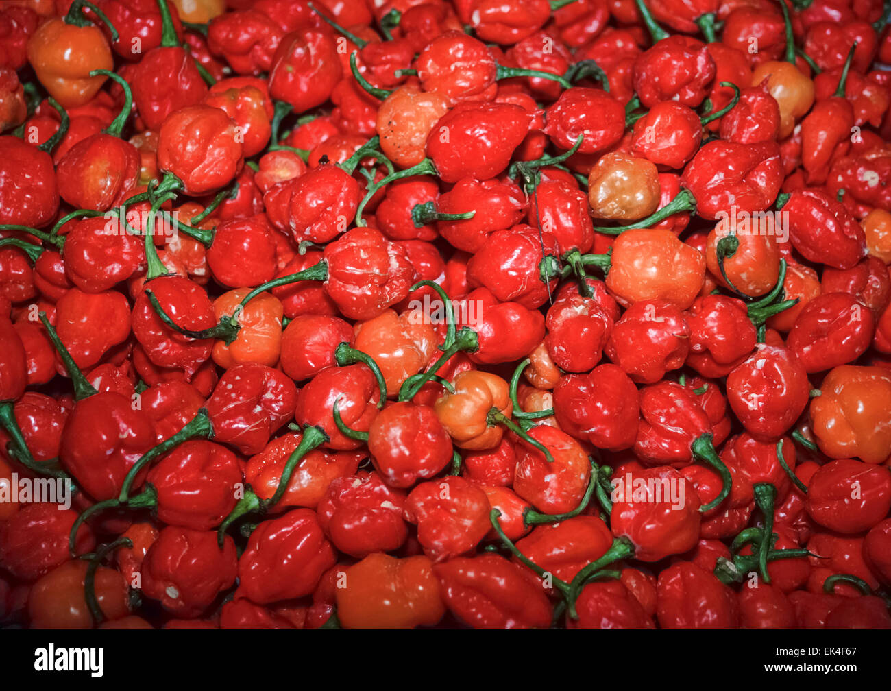 Condiment belize High Resolution Stock Photography and Images Alamy
