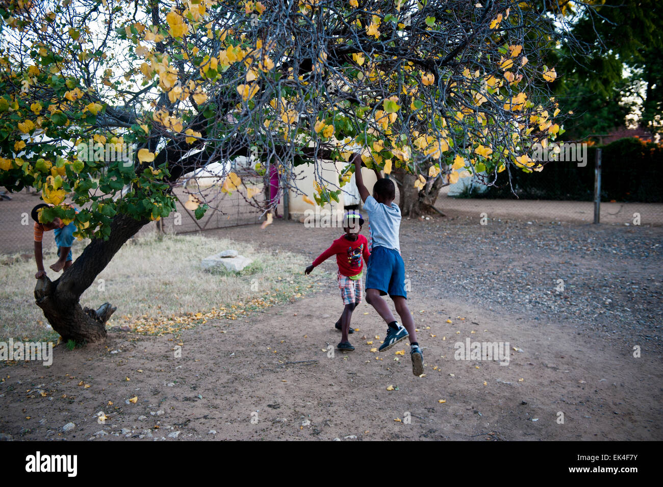 children at play in mahikeng formerly known as mafikeng - in an area called rhodes park that is along side the transnet railway and the mafikeng railway station. the are was named after cecil john rhodes, recently his statue was removed during broard daylight and taken to a boutique hotel called the kimberly club Stock Photo