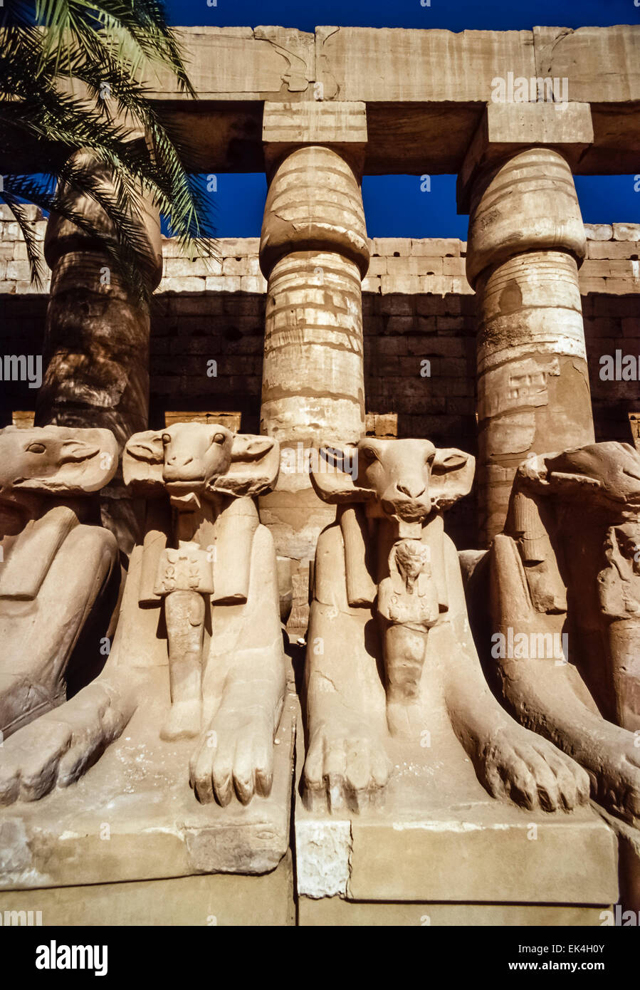 Karnak Temple Ruins Film Scan High Resolution Stock Photography and ...